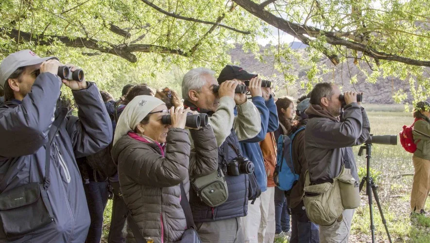 Grupo de observadores de aves con binoculares bajo los árboles